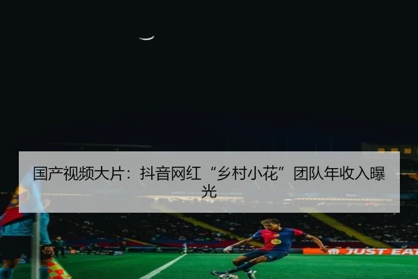 国产视频大片：抖音网红“乡村小花”团队年收入曝光